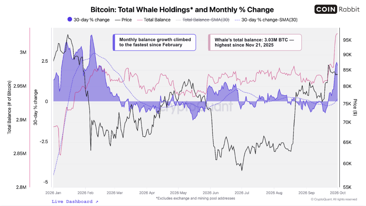 [13 October 2026] Whales Are Back: Large Holders in an Early Bull Market | Supported By CoinRabbi...
